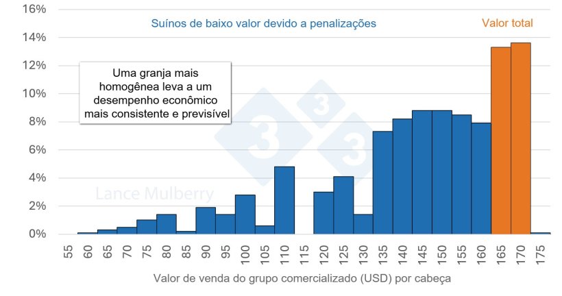 Figura 4: Reduzir o n&uacute;mero de su&iacute;nos de crescimento lento n&atilde;o apenas diminui as poss&iacute;veis penaliza&ccedil;&otilde;es, mas tamb&eacute;m os custos derivados da ocupa&ccedil;&atilde;o de menos vagas nas baias e de menos horas de m&atilde;o de obra por su&iacute;no, al&eacute;m de otimizar o &iacute;ndice de convers&atilde;o.
